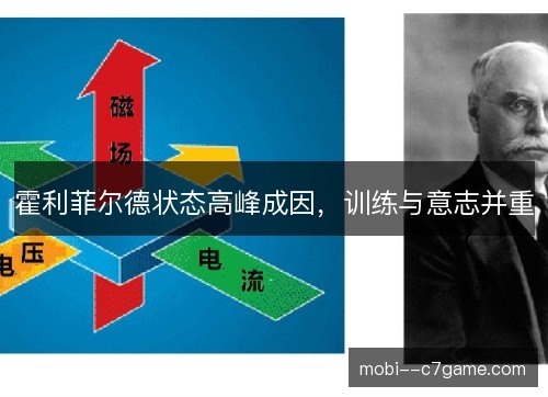 霍利菲尔德状态高峰成因,训练与意志并重 霍利菲尔德状态高峰成因,训练与意志并重
