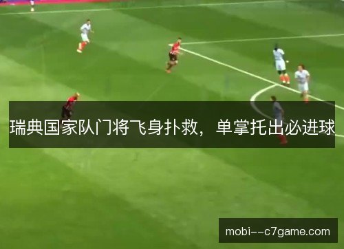 瑞典国家队门将飞身扑救,单掌托出必进球 瑞典国家队门将飞身扑救,单掌托出必进球
